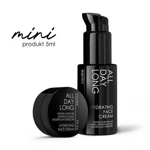 MINI + standard ALL v.1.png